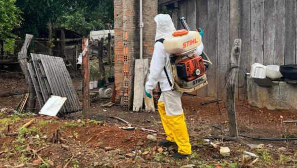 Juntos Contra a Dengue: Ações da Prefeitura e o Papel de Cada Cidadão