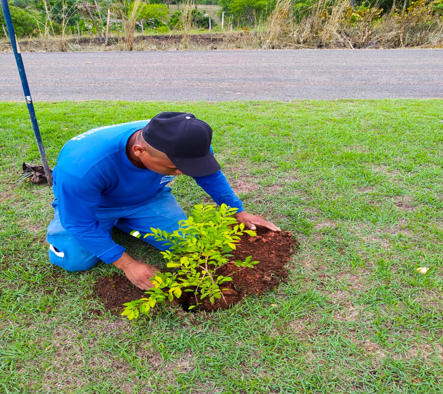 SECRETARIA MUNICIPAL DE MEIO AMBIENTE REALIZA PLANTIO DE MUDAS ORNAMENTAIS E FRUTÍFERAS EM PRAÇAS E CANTEIROS