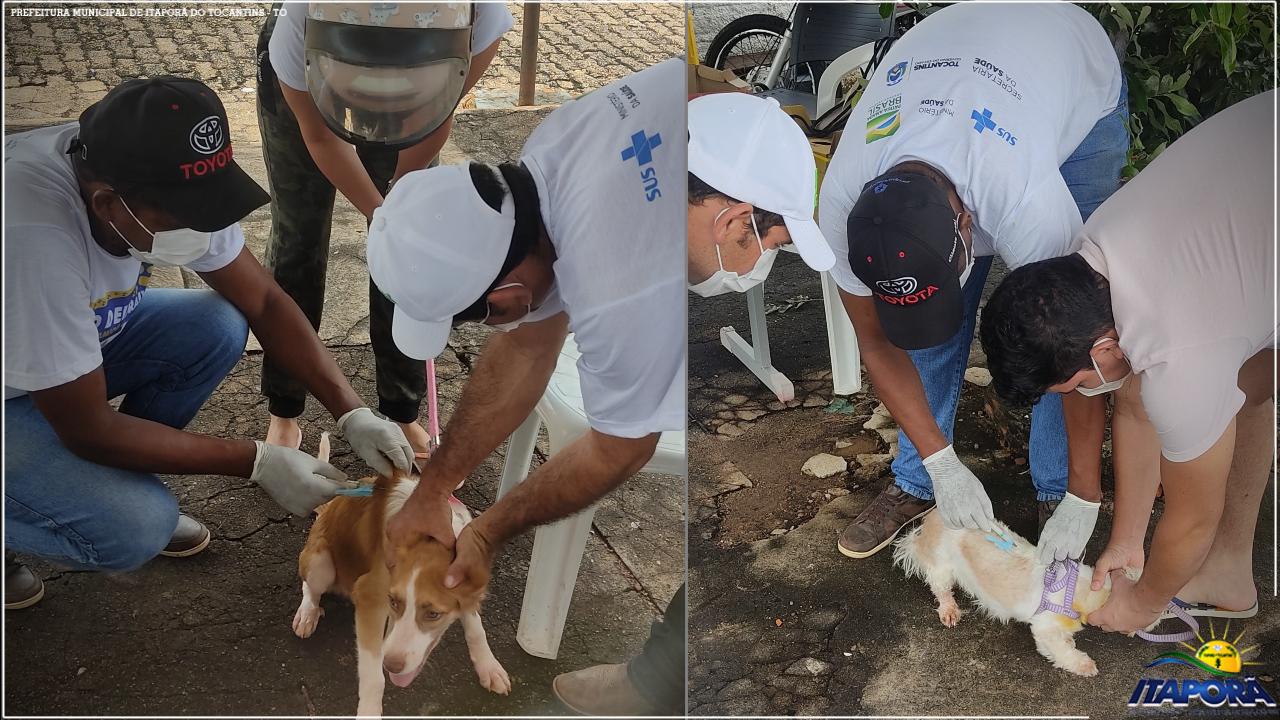 CAMPANHA DE VACINAÇÃO ANTIRRÁBICA ZONA URBANA 