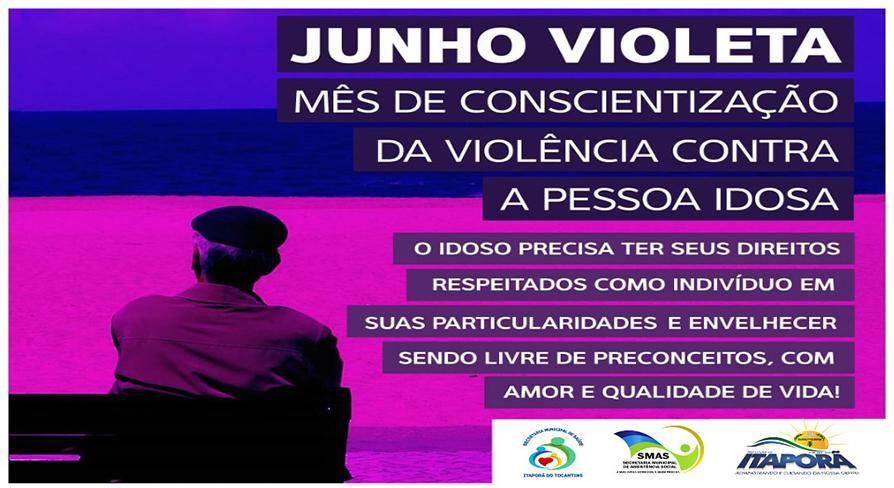 JUNHO VIOLETA