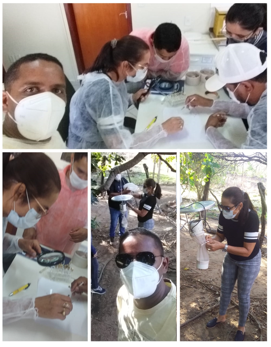 TREINAMENTO / AGENTES DE ENDEMIAS