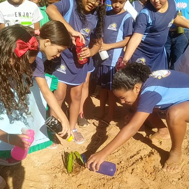 SEMANA MUNDIAL DO MEIO AMBIENTE 2024.