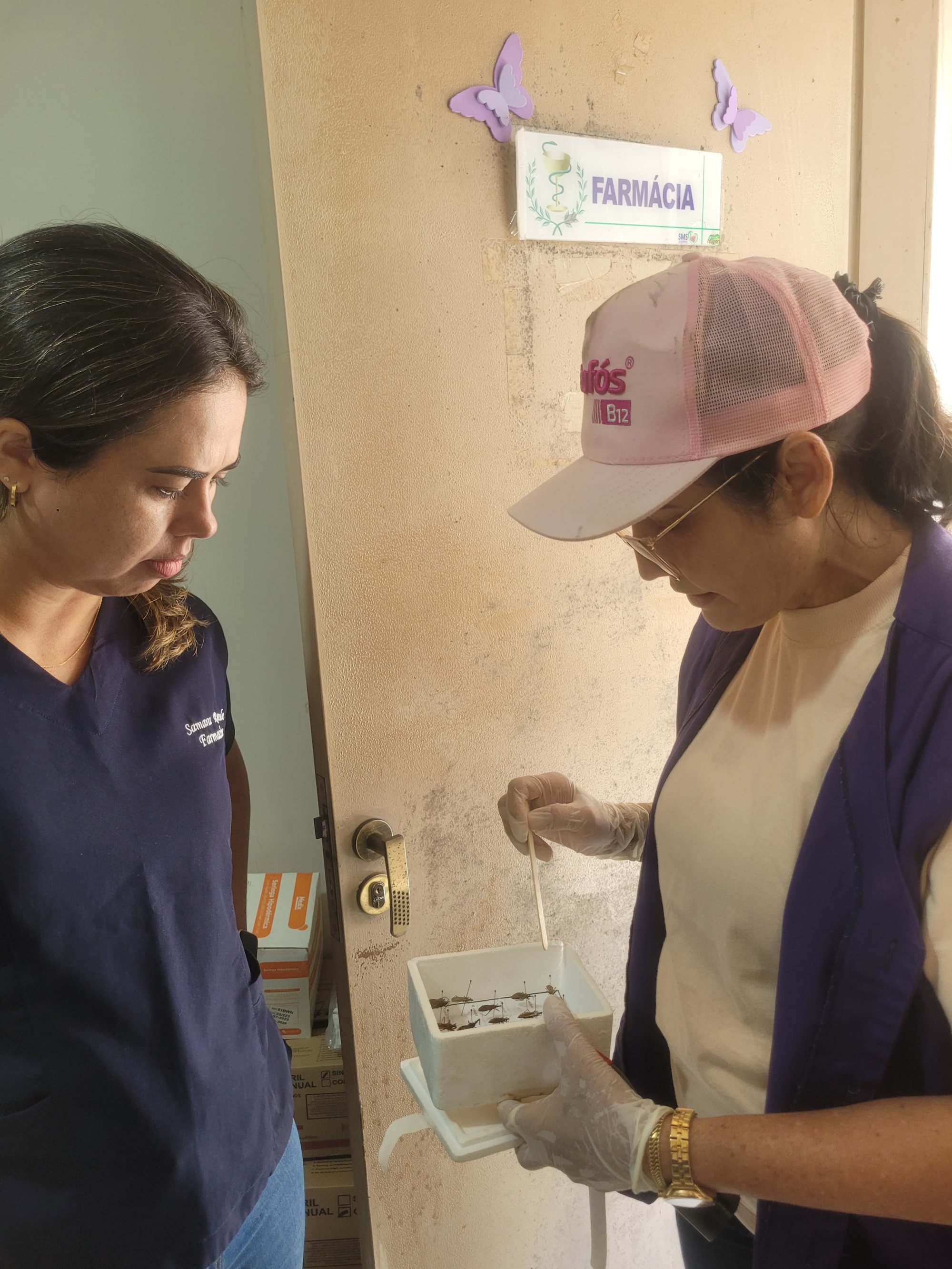 Informativo Vigilância Epidemiológica de Itaporã do Tocantins