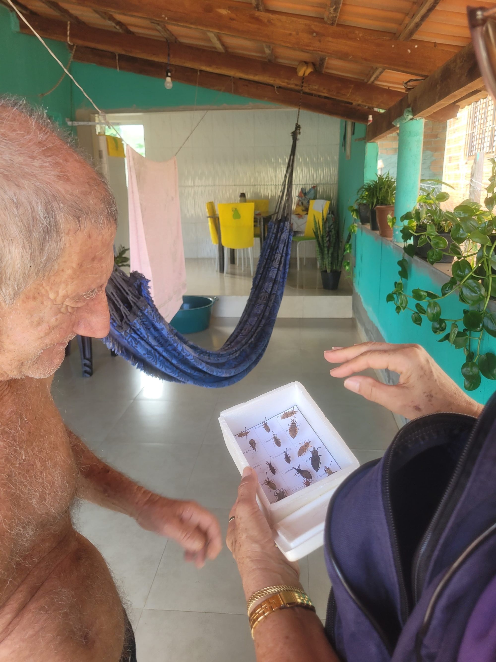 Informativo Vigilância Epidemiológica de Itaporã do Tocantins