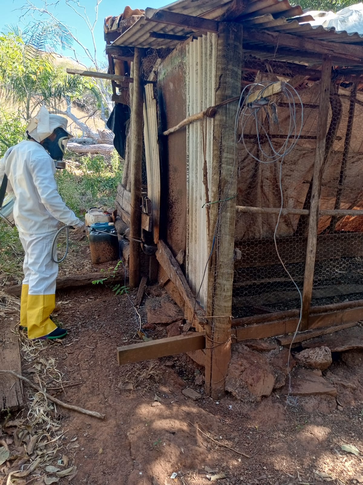 Itaporã Intensifica Combate à Doença de Chagas com Borrifação Contra o Barbeiro