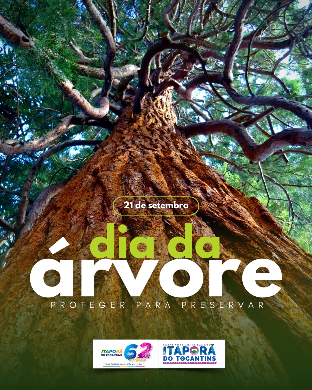 Dia da Árvore: Mais que um símbolo, uma necessidade.