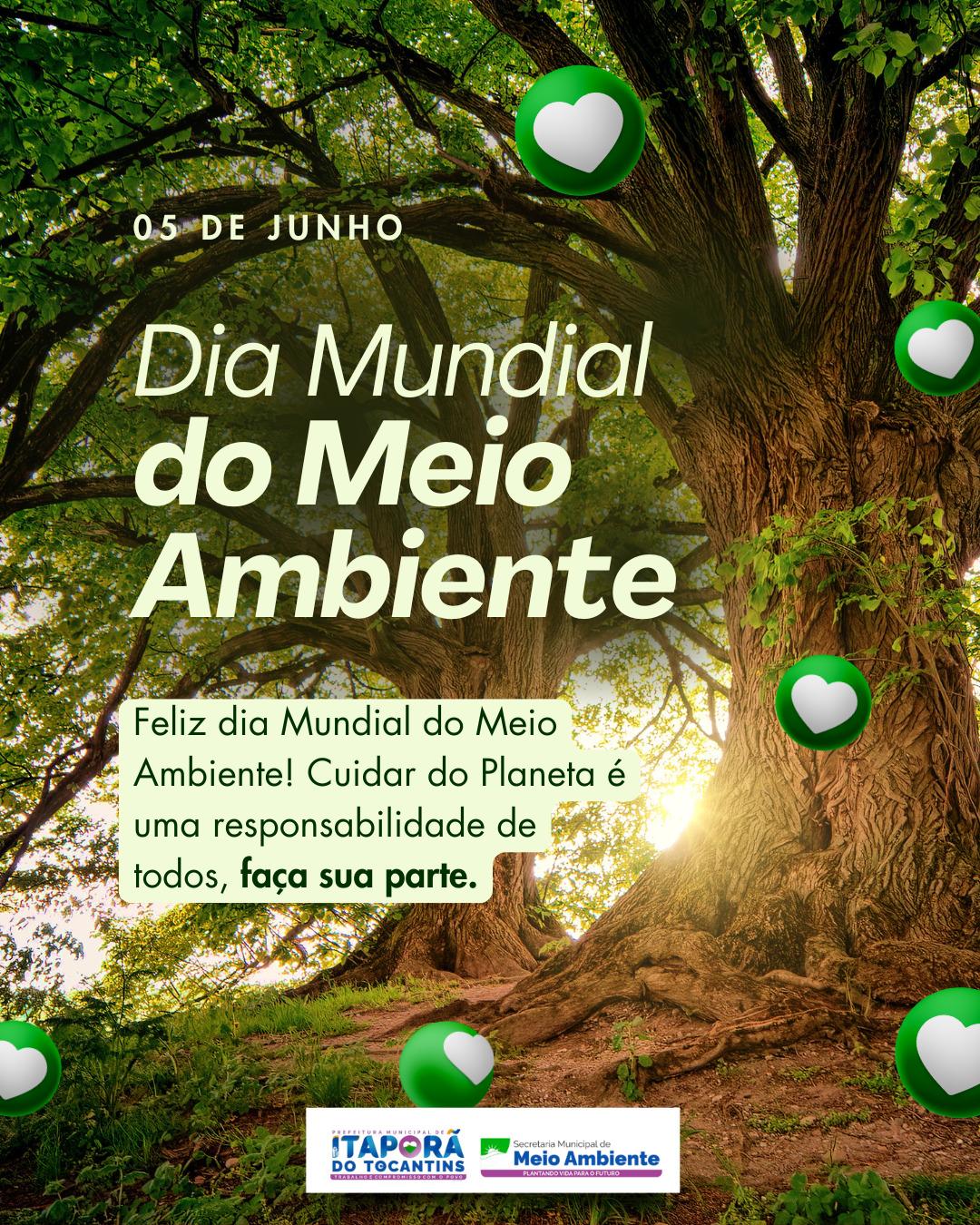 DIA MUNDIAL DO MEIO AMBIENTE DIA MUNDIAL DO MEIO AMBIENTE