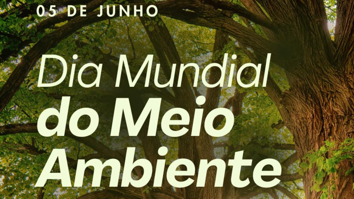 DIA MUNDIAL DO MEIO AMBIENTE